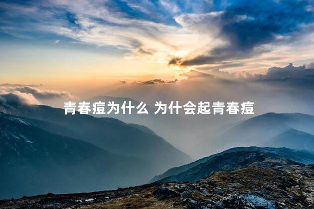 青春痘为什么 为什会起青春痘